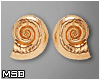 B | Snail Gold Earrings