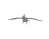 Flying Eagle Blocker F