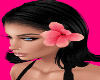 Pink Lily Left Ear
