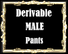 TA Pants Deriviable