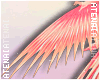 ❄ Phoenix Wings