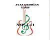AYAZ ERDOGAN-NASIP AYAZ ERDOGAN-NASIP