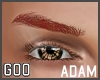 {G} Adam Brows Red Med