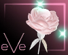 [eVe] boutonniere