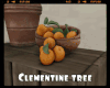 *Clementine Tree