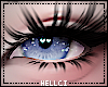 ✮ Winter Eyes