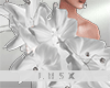 * White Floral Bodysuit
