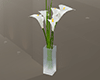 Vase White Lily