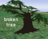 Old broken tree