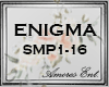 ae~SAME PARENTS/ Enigma
