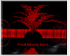(TB) Red Moon fern