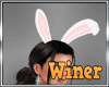 Sexy Bunny Outfit