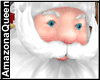 Santa Claus Animated Pet