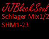 Schlager Mix 2025/1/2