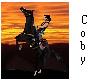CowBoy 