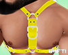 H4 | Harness W/Y