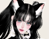 face 061
