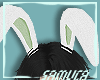 Kid 🐇 Bunny Ears