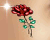 [NUR]Red Belly Rose