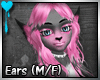 D~Zira Fur: Ears (M/F)