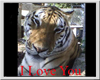 I love you Tiger
