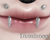 Fang Piercings