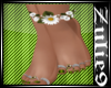 Molly (L) Feet Flower