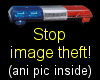 stop image theft