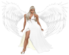 ALAS ANGEL B