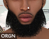 Thick afro beard