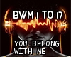 You Belong With Me Remix