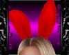 *D*Play*B* Bunny Red