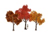 Autumn Trees