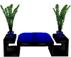Black & Blue Bench&Plant