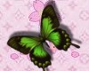 **Green Butterfly