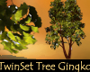 eli~ Twinset Tree Gingko
