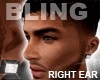 Bling Earring
