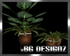 [BGD]Plant Set II