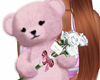 ha. Soft Pink Teddy Bear
