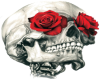 Skull'n'Roses