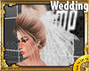 Wedding Veil WHITE BODA