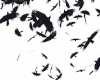 DJ Trigger Wild Crows