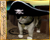I~Pirate Cat