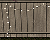 Backyard |String Lights