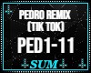 Pedro Remix TikTok Song