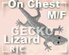 R|C Gecko Grey M/F