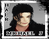 llzM. Michael J - HAIR 2