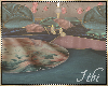 -I- BH Rugs 2