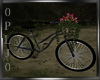 Romantic-Moonlight(Bike)