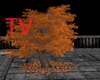 TV> Sweet Fall Kiss Tree